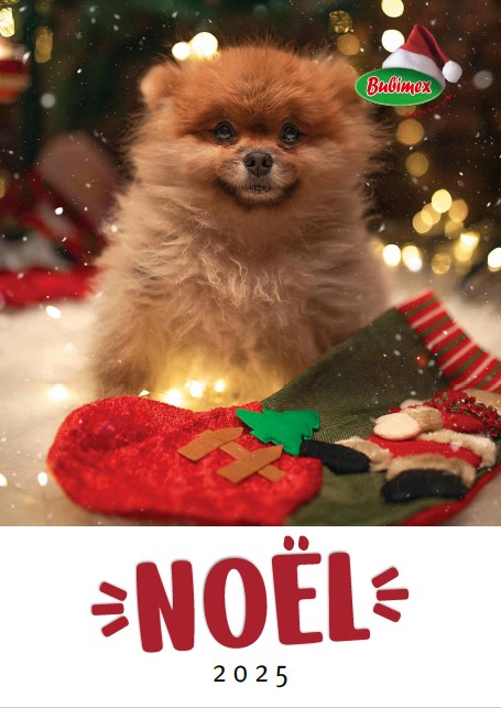 Catalogue Noel 2025