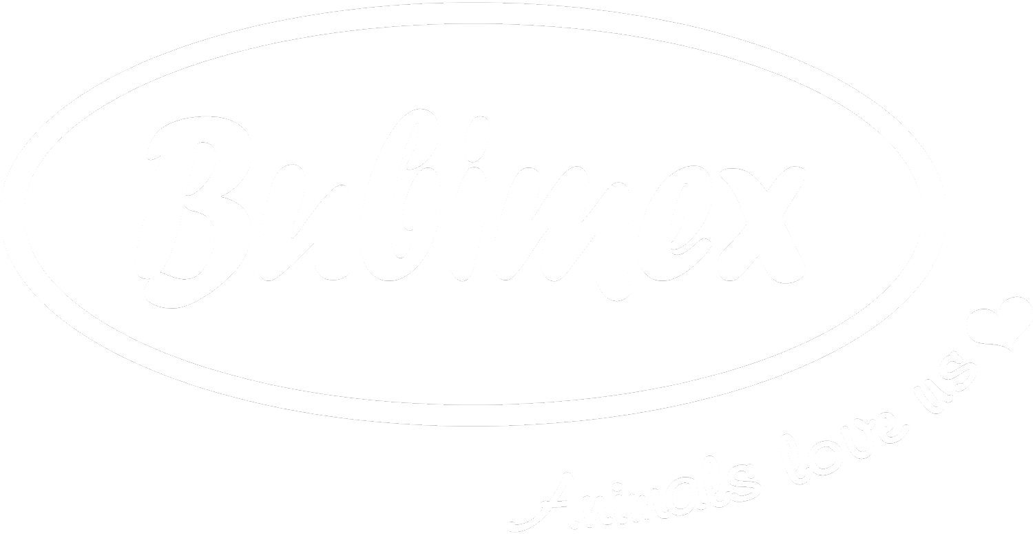 Bubimex Logo