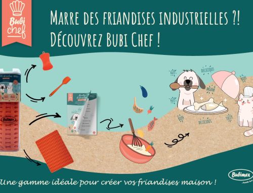 Découvrez Bubichef !