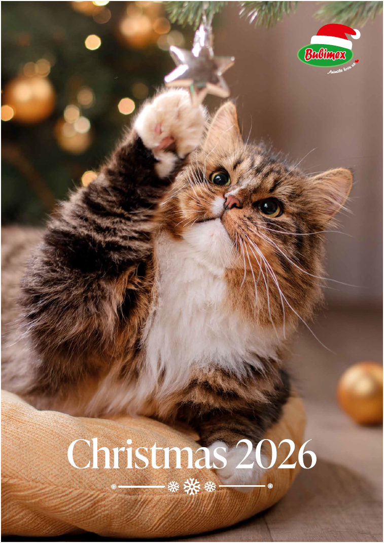 Catalogue Noël 2026